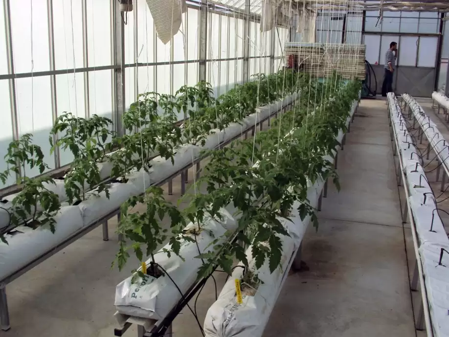 ΥΔΡΟΠΟΝΙΚΕΣ ΚΑΛΛΙΕΡΓΕΙΕΣ